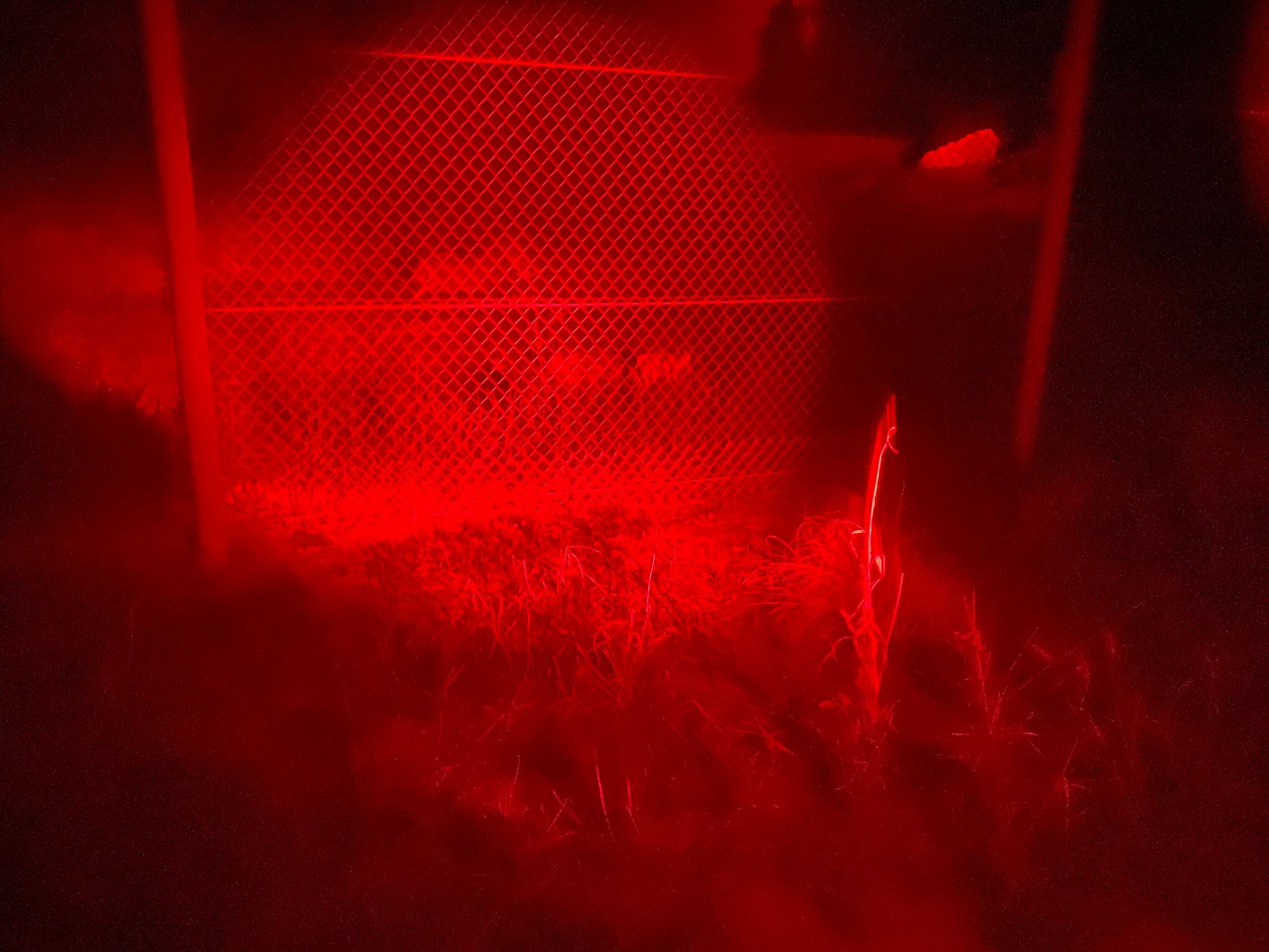 Dubbo Zoo 2025 Image -67de0474bacaf